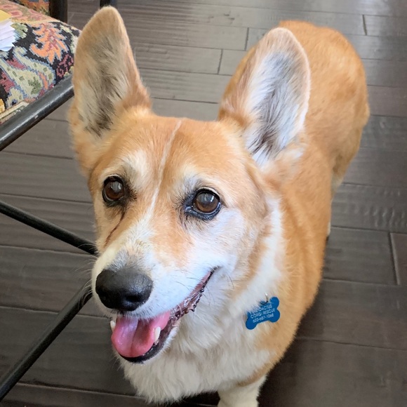 Meet your Posher - Picture 5 of 14